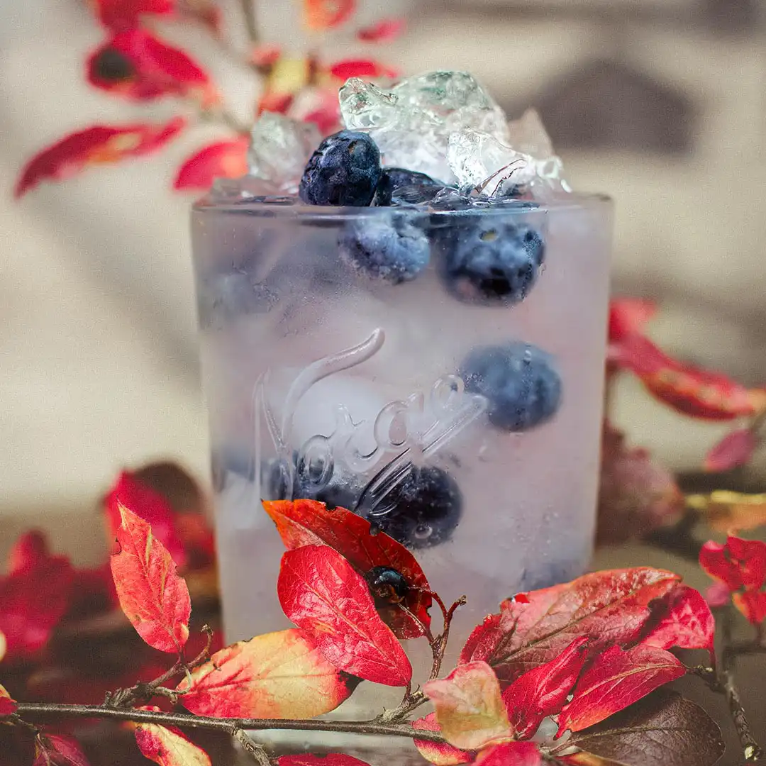 Harahorn Gin Tonic